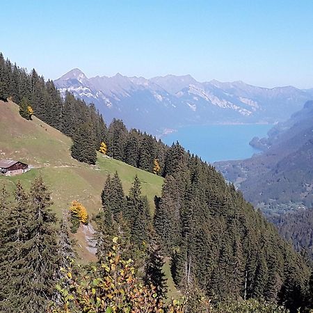 Desalpes Διαμέρισμα Saxeten Εξωτερικό φωτογραφία