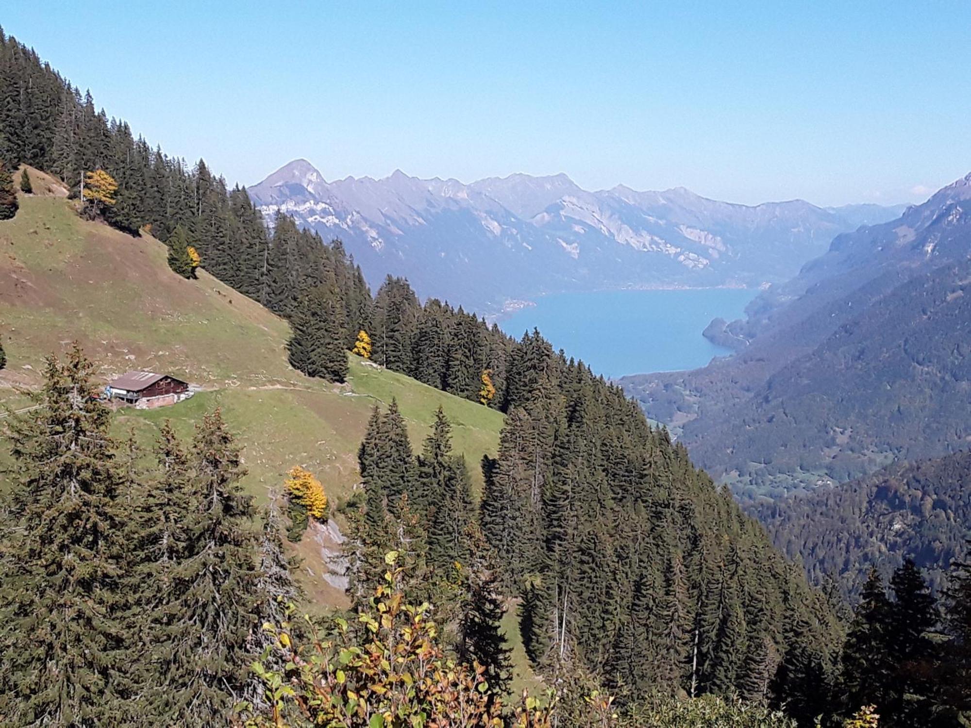 Desalpes Διαμέρισμα Saxeten Εξωτερικό φωτογραφία
